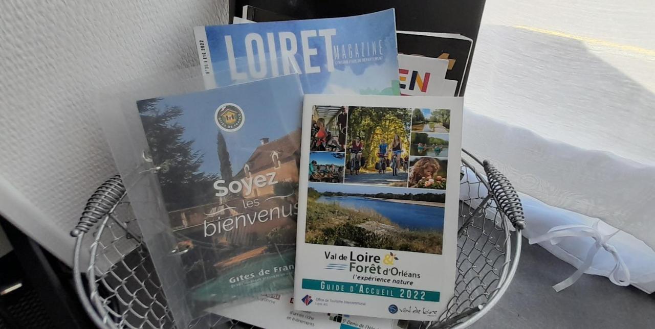 Studio Le Ligerien Saint-Denis-de l'Hotel Ngoại thất bức ảnh